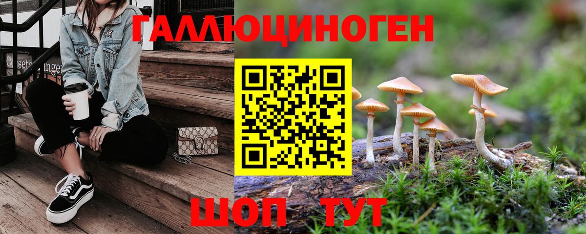 Псилоцибиновые грибы Psilocybe  Вход с VPN  купить  сайты  Тверь 